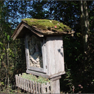 DSC03985_JPG-1289048899
