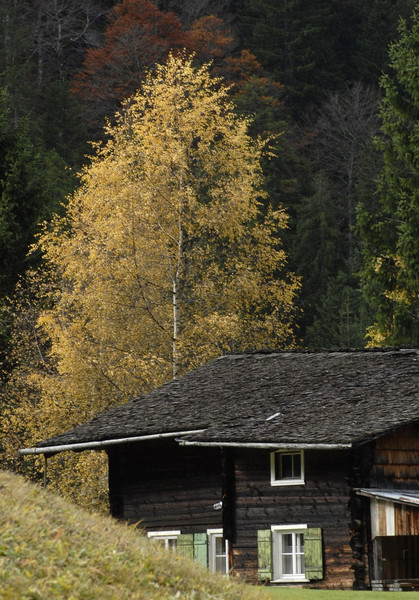 k-159_JPG-1289118222
