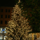 DSC08657.JPG