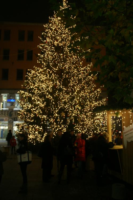 DSC08657.JPG
