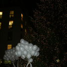 DSC08567.JPG