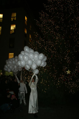 DSC08567.JPG