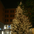 DSC08655.JPG