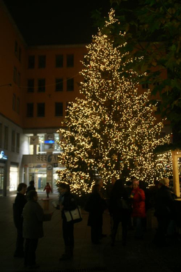 DSC08655.JPG
