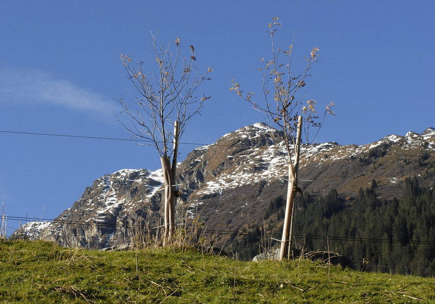 k-120_JPG-1289142292