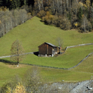 k-123_JPG-1289142328