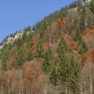 k-195_JPG-1289142591