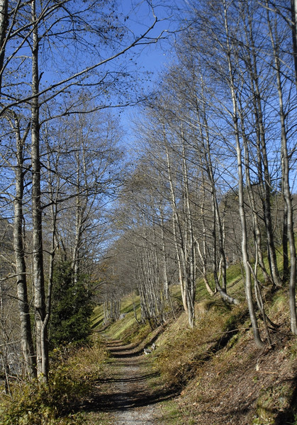 k-235_JPG-1289142845