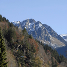 308_JPG-1289143302