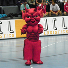 Alpla HC Hard gegen UHK Krems