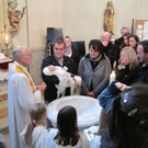 IMG_5918_JPG-1289163541