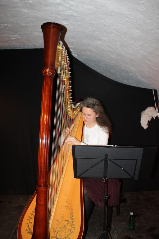 Kunstkeller Harfe und Gesang 03-11-2010 _5__jpg-1289166888