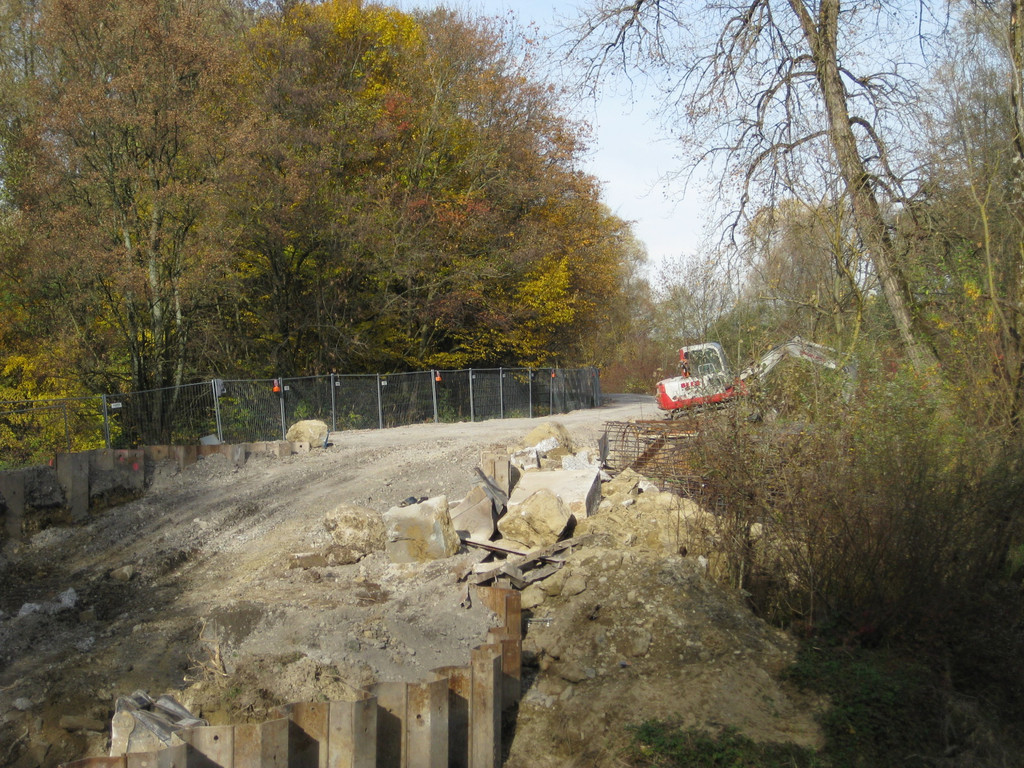 Leiblachbr__cke Baut__tigkeit 016.jpg