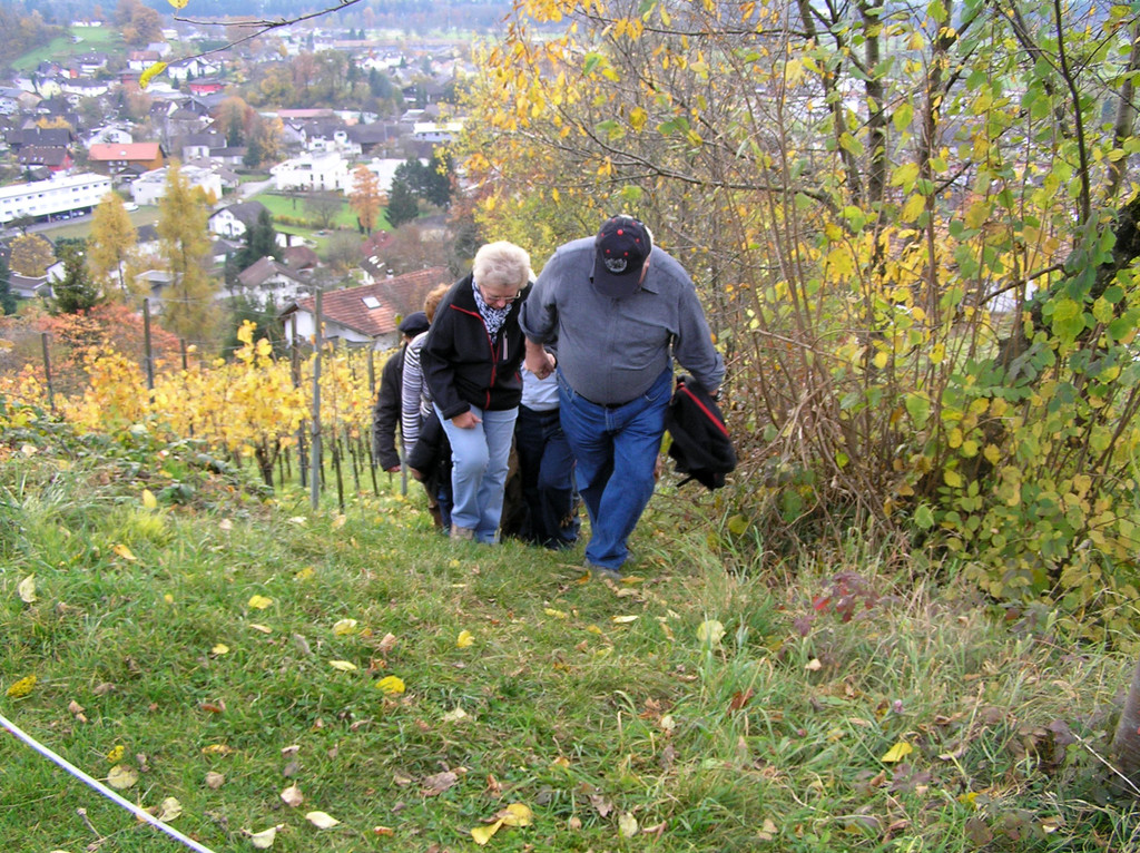 Weinwanderung 30_jpg-1289207518