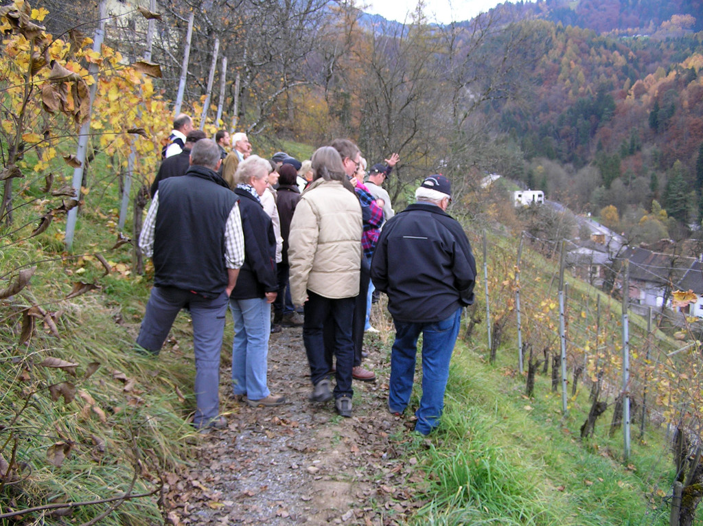 Weinwanderung 49_jpg-1289207685