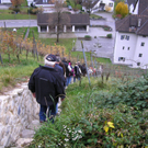 Weinwanderung 52_jpg-1289207726