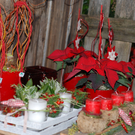 DSC_0557.JPG