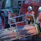 normal_08112010vuschneestangensaaktivnews011.jpg