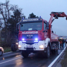 normal_08112010vuschneestangensaaktivnews024.jpg
