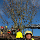 normal_09112010brandffaktivnews_019.jpg