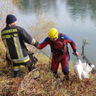 09112010schwanfibaktivnews_20_15_.jpg