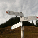 P1080136.JPG