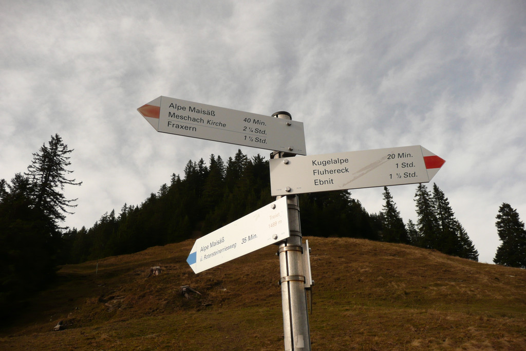 P1080136.JPG