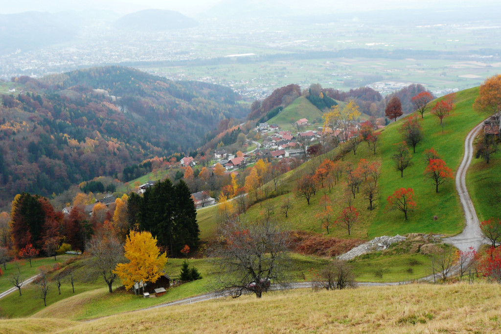 P1080153.JPG