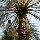 K800_IMG_7873_JPG-1289400110