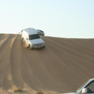 K800_IMG_7971_JPG-1289400114