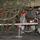 baum1.JPG