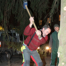 baum4.JPG