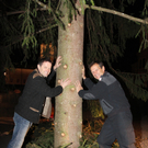 baum3.JPG