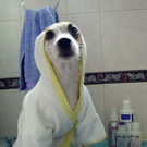 user_28_lustige_tiere_018.jpg