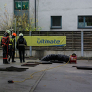 normal_11112010tankstellefmaktivnews_42.jpg