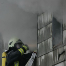 normal_11112010brandffaktivnews_169.jpg
