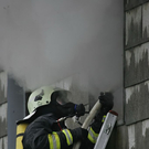 normal_11112010brandffaktivnews_175.jpg