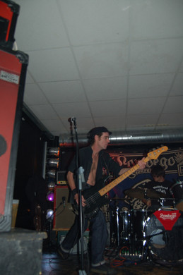 DSC_7516_JPG-1289488559