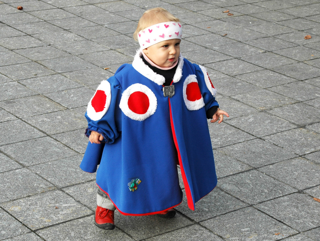 Hoechst 11_11_2010 34_jpg-1289488527