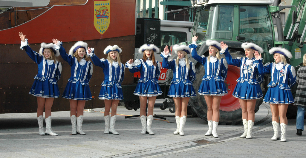 Hoechst 11_11_2010 51_jpg-1289488572