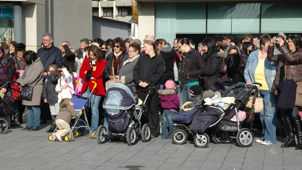 Hoechst 11_11_2010 62_jpg-1289488600