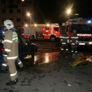 normal_12112010vugarnisonstrlinzthaktivnews014.jpg