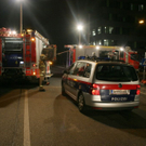 normal_12112010vugarnisonstrlinzthaktivnews033.jpg