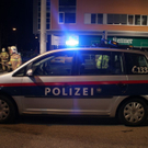 normal_12112010vugarnisonstrlinzthaktivnews037.jpg