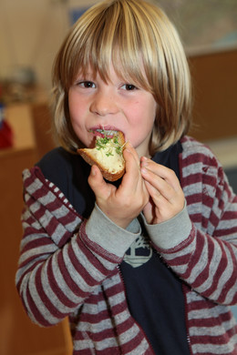 Gesunde Jause 08_Gr____enver__nderung.jpg