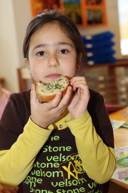 Gesunde Jause 15_Gr____enver__nderung.jpg