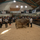 DSC_5692.jpg