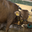 DSC_5759.jpg