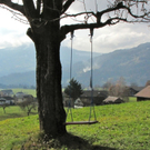 KOE_SB Ausflug Lingenau 21_jpg-1289649085