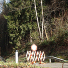 13112010felssaaktivnews005.jpg